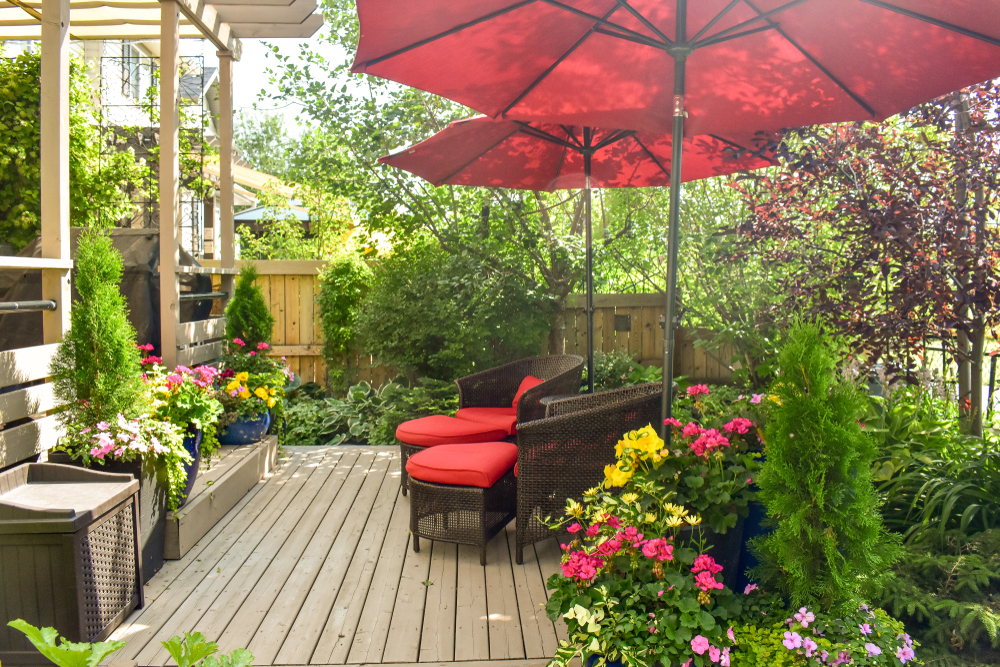 parapluie ombrageant les plantes du soleil