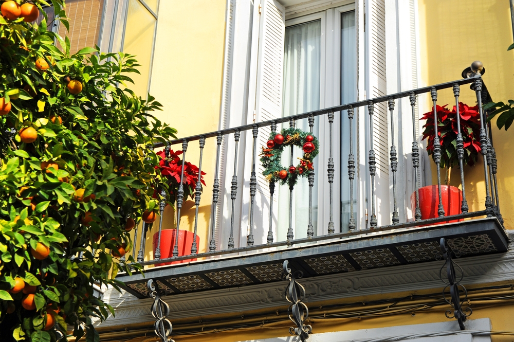 poinsettia sur balcon à noël
