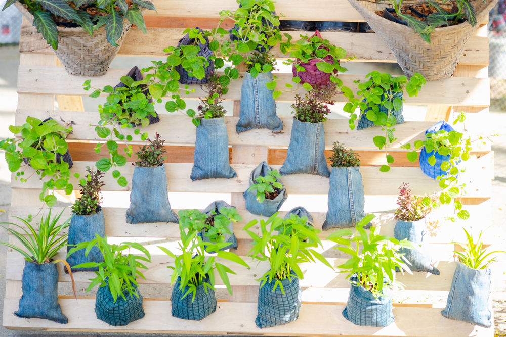jardinière en palette pour jardin vertical